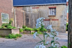 WhatsApp-Image-2025-04-27-at-09.23.35