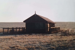 PHOTO-2025-07-14-17-06-53