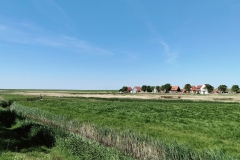 IMG_20250510_114637_edited