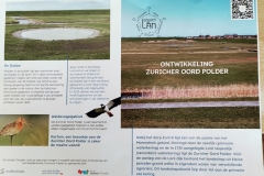 IMG_20250510_123552_edited