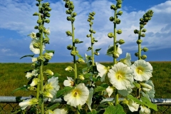 PHOTO-2025-07-14-16-02-49