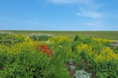 PHOTO-2025-07-14-16-05-42-2