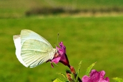 PHOTO-2025-07-14-17-14-39