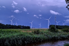 PHOTO-2025-07-14-17-36-35