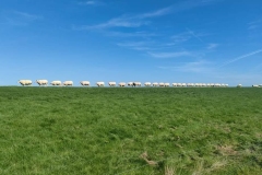 PHOTO-2025-07-14-15-51-38-1-2