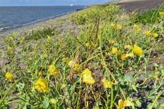 PHOTO-2025-07-14-15-51-38-2