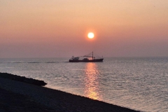 PHOTO-2025-07-14-15-51-39-3