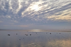 PHOTO-2025-07-14-15-51-39-4