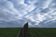 PHOTO-2025-07-14-15-56-05-3