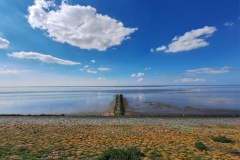 PHOTO-2025-07-14-16-02-51-4