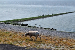 PHOTO-2025-07-14-16-02-51