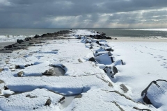 PHOTO-2025-07-14-17-37-04